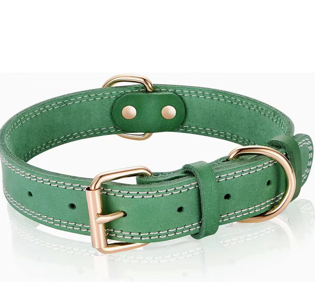Hundhalsband i klassisk design – robust och stilrent