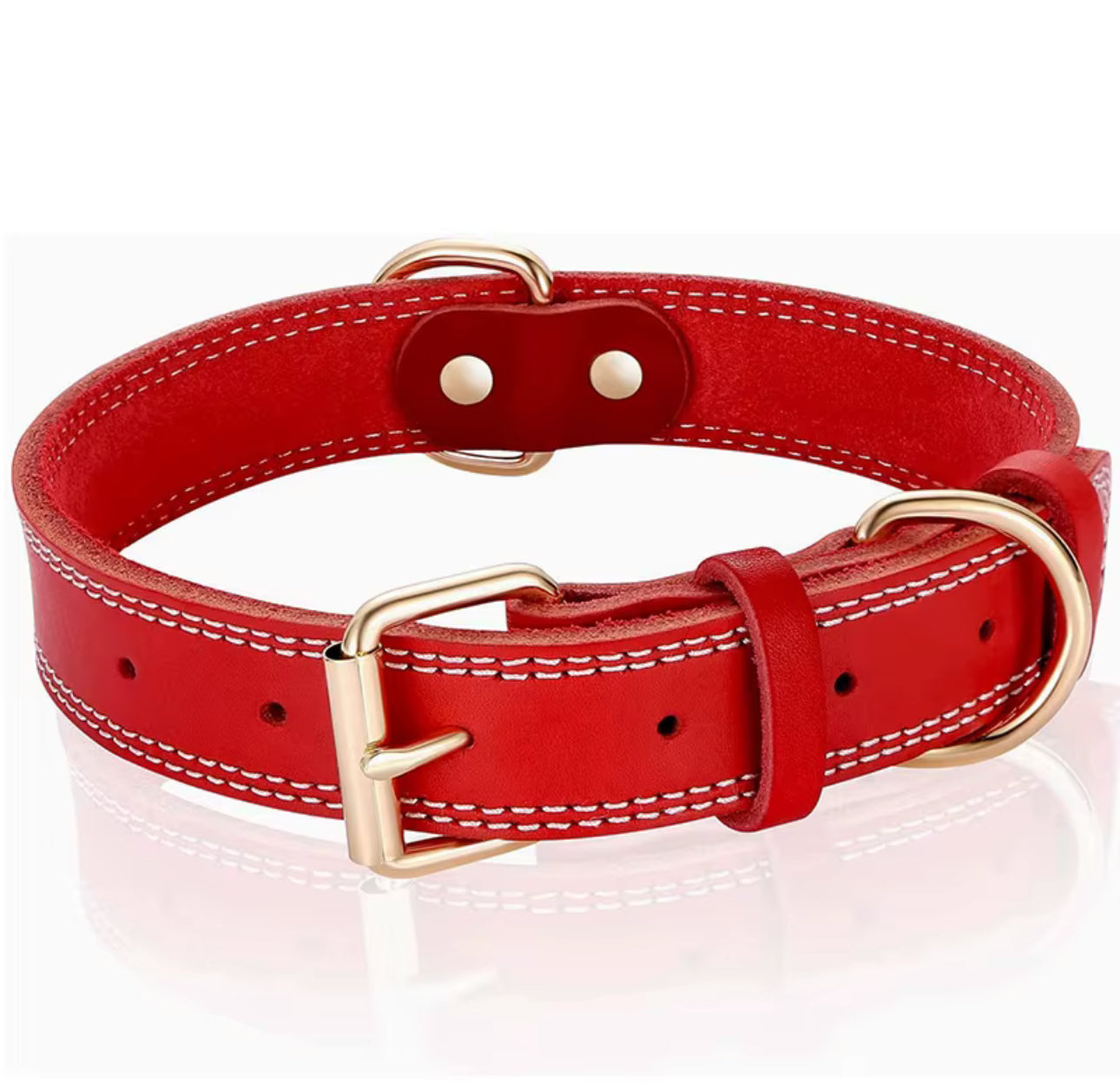 Hundhalsband i klassisk design – robust och stilrent
