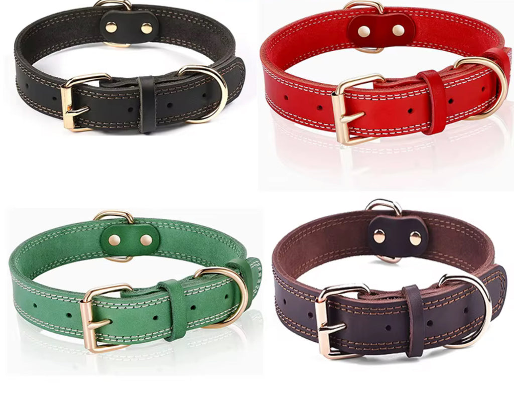 Hundhalsband i klassisk design – robust och stilrent