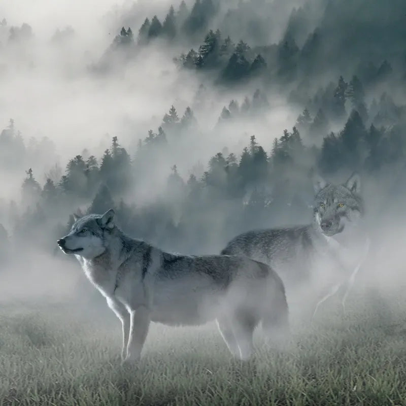 Wolf of Wilderness - RAW Snacks