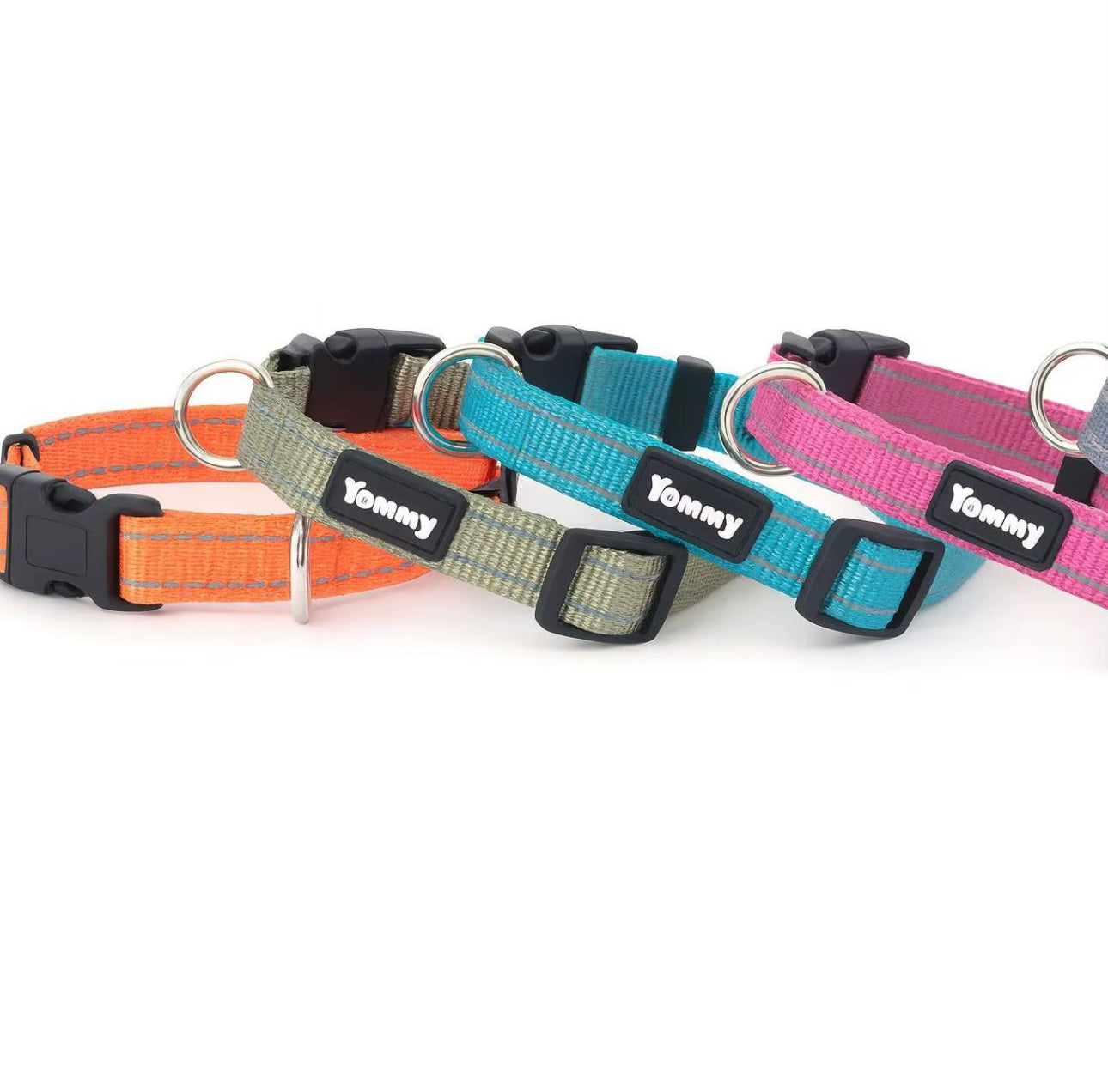 Slitstarkt & bekvämt hundhalsband – justerbart med snabbspänne