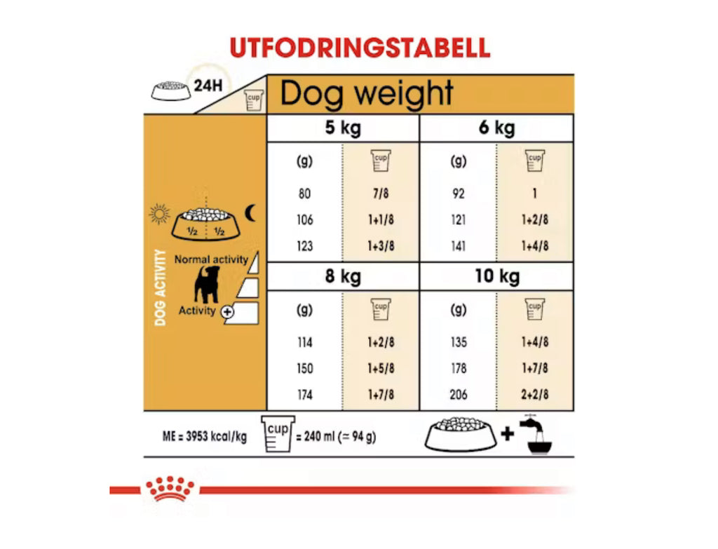 ROYAL CANIN® Jack Russell Terrier Adult torrfoder Jack Russell Adult