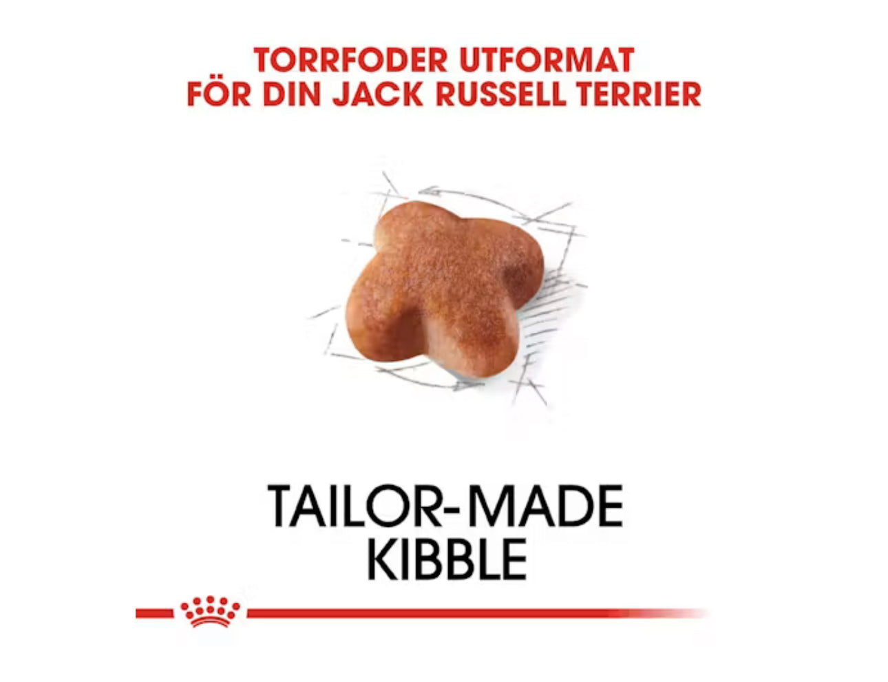 ROYAL CANIN® Jack Russell Terrier Adult torrfoder Jack Russell Adult