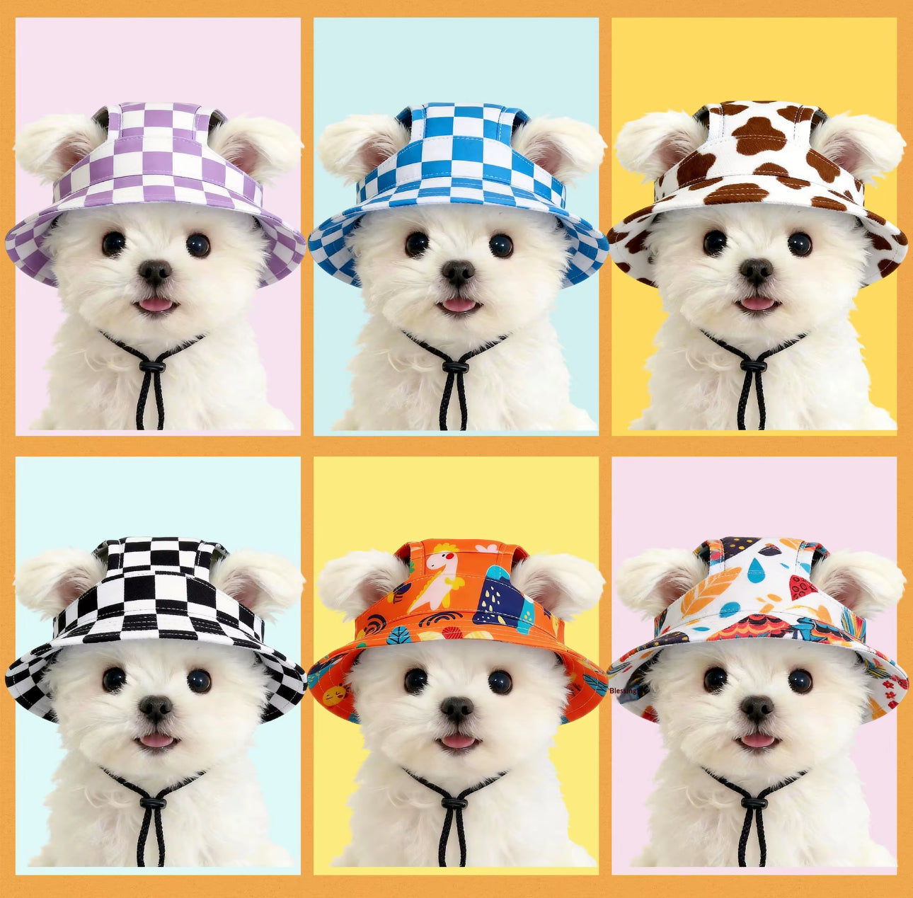 Hund Hat