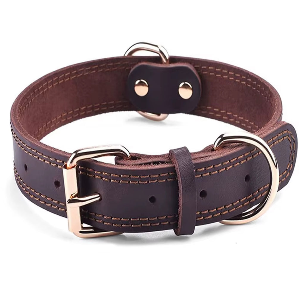 Hundhalsband i klassisk design – robust och stilrent