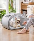 PetCool Capsule kylhuset för husdjur kombinerar smart design